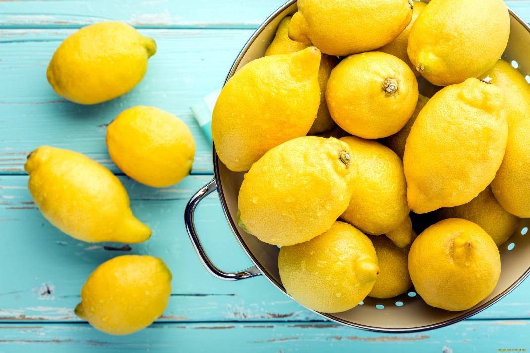 Limonun değil fiyatının suyu çıktı! Limonu durdurabilene aşk olsun - Resim: 4
